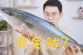避坑！北方常见的“黄金鲅”到底是个啥？视频封面