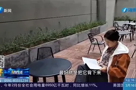 高考语文该如何复习备考？来看学霸归纳总结的方法！视频封面