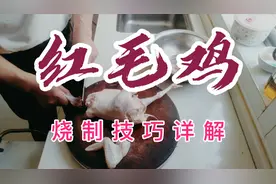 红毛鸡怎么烧好吃？掌握关键技巧，烧鸡鲜香嫩滑有嚼劲