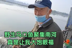 湖北谷城县南河出现几十年没见过的马口鱼群聚集.真让我大饱眼福