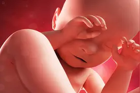 孕期经常肚子饿，是胎宝没吃饱吗？答案可能和孕妈想的不同视频封面