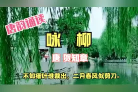 贺知章《咏柳》。诵读与赏析。不知细叶谁裁出，二月春风似剪刀。视频封面