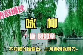 贺知章《咏柳》。诵读与赏析。不知细叶谁裁出，二月春风似剪刀。视频封面