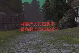 魔兽世界怀旧服：网易严厉打击脚本，很多服连飞机都没了