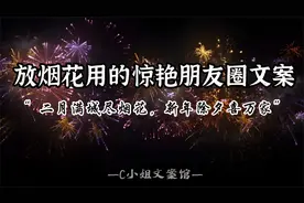 “可爱人间烟火，平安喜乐万朵”｜放烟花专用的高级朋友圈文案视频封面