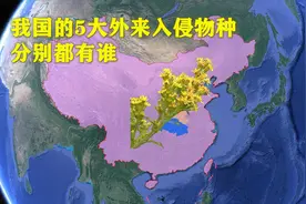 我国的5大外来入侵物种，分别是啥？各自有怎样的危害？