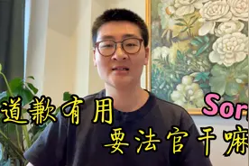 奇葩加拿大人为什么总喜欢说sorry？聊一聊加拿大的道歉法视频封面