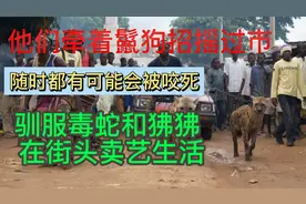 牵着鬣狗招摇过市，驯服毒蛇与狒狒街头卖艺，随时可能会被咬死。视频封面