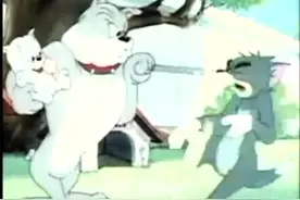 天津话版《猫和老鼠》第3段 猫狗大战。狗狗斯派克为保护儿子视频封面