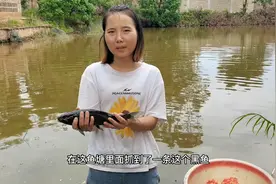 广西农村姑娘到鱼塘里摸田螺，意外摸到了一条黑鱼，一起来看看视频封面