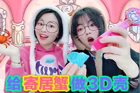 花熊姐妹宠物大PK，用3D打印笔帮寄居蟹做外壳，最后谁的更美呢？