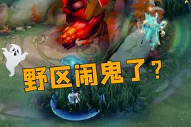 在王者峡谷肝了一天一夜后，我发现了视野之灵的秘密视频封面