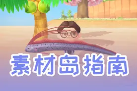 【动森攻略】你以为你去的都是普通岛？素材岛指南之一