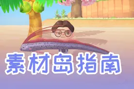 【动森攻略】你以为你去的都是普通岛？素材岛指南之一视频封面