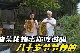像猪板油一样的蜂蜜你们吃过吗？八十岁的爷爷说出蜂蜜的真相！视频封面