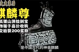 广西农民抓狐狸发现山洞，洞里有2500年前的宝贝，上交获200奖励视频封面