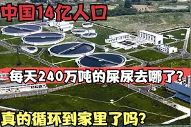 中国人每天240万吨的排泄物，最终流向哪里？真的循环到家里了吗视频封面