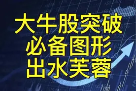 【重磅干货】大牛股突破的必备图形：出水芙蓉，建议收藏！视频封面