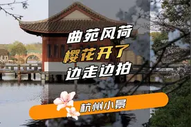 来杭州西湖边拍照，别抱着很大的期望，平常心更好视频封面