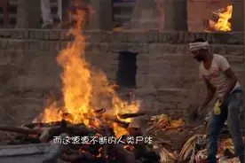 毁三观！蝴蝶喜欢的不是香而是“恶臭”，难道香妃其实是臭妃？