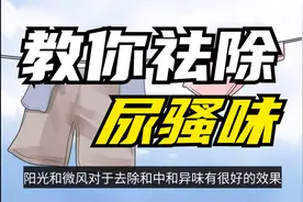 尿骚味怎么去除？如何去除尿味？这几招可以帮你#知识辞海计划视频封面