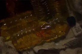 这是我见过最肮脏的女人，家里垃圾成堆，被清理干净反而造成不适视频封面