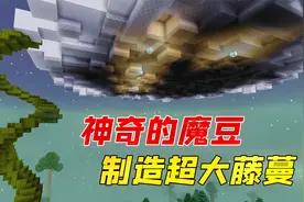 我的世界：种出超大藤蔓！魔豆还有这个作用，太帅了