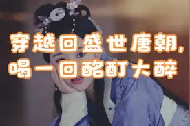 穿越回盛世唐朝，喝一回酩酊大醉视频封面