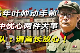 76年叶帅动手前，一直担心两件事情，杨成武：他们调不动一兵一卒视频封面