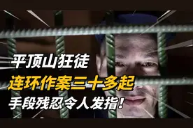 平顶山狂徒杨松奇，几年连环作案30余起，一辆自行车露出马脚！视频封面