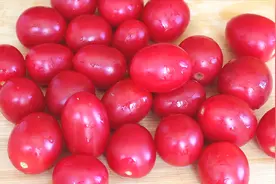 小柿子不要直接吃了，教你农村常见做法，不炒不拌，上桌瞬间扫光