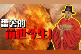 改写中国历史的植物：红薯是哪一年来到中国的？细数它的前世今生视频封面