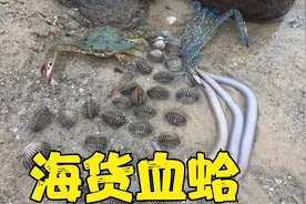 阿波退潮赶海满地都是雪蛤，海岸发现不明洞穴，走近一看惊喜不断视频封面