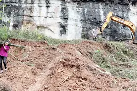 四川内江:农村搞开发，挖机在前面挖，村民和挖机比速度抢竹子！视频封面