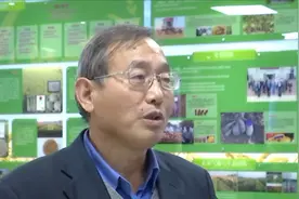 大豆品种“齐黄34”育种人徐冉：牢记嘱托，研发新技术培育新品种视频封面
