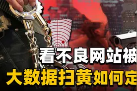 “大数据扫黄”已启动！半夜浏览不良网站会被查吗？详细范围来了视频封面