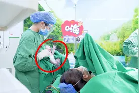 刚出生的宝宝一眼认出妈妈，贴上去立马停止哭泣，神了！视频封面