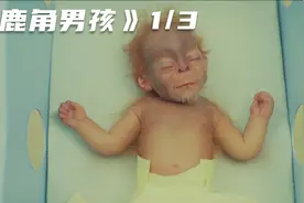 医院里诞生了一批怪宝宝，有的像鸟，有的像猴！美剧《鹿角男孩》视频封面