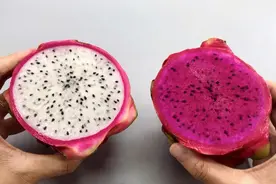 白心火龙果和红心火龙果有什么区别？看懂这些，不要再乱买了视频封面