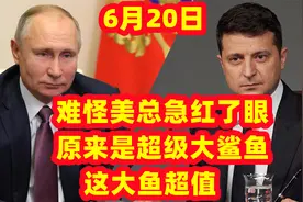 难怪美总急红了眼，原来是超级大鲨鱼，这大鱼超值视频封面