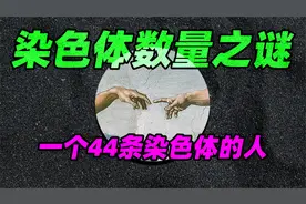 为什么会产生44条染色体的人?一个新种是这样诞生的吗!视频封面