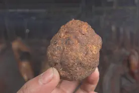 阿哥把自家烟熏的豆渣拿来炒野葱，一上桌就忍不住干了两大碗米饭