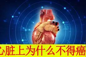 心脏上为什么不得癌症？视频封面