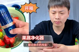 花228块钱买个果蔬净化清洗机，据说能去除农药残留，肉类激素？视频封面