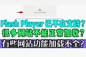专门解决 Flash Player 已不在支持，导致网站不能正常加载的问题视频封面
