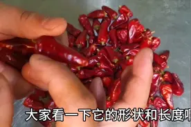 七种做熟食常用的辣椒，哪种更香？如何鉴别？卤菜人必会知识点视频封面