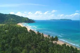 神奇的音乐治疗安神舒缓神经紊乱。#唐加文#视频封面