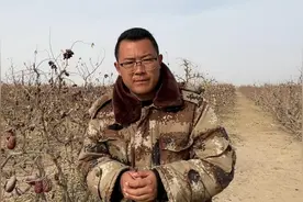 新疆大红枣也分特级级一级二级 以后购买注意皮皮枣和好枣的区别视频封面