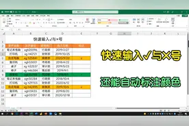3种快速输入√与×的方法，并且还能自动填充颜色，快速标记数据视频封面