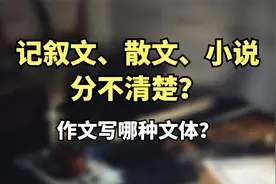 记叙文、散文、小说、说明文、议论文的区别 | 阅读理解和作文